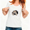 T-Shirt maniche corte Gatto