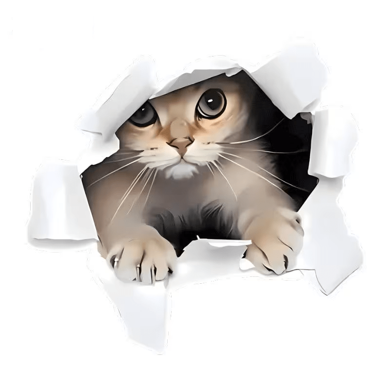 Cuscino con Immagine Gatto che esce dal cuscino - ElleGi Shop - Cuscino con Immagine Gatto che esce dal cuscino