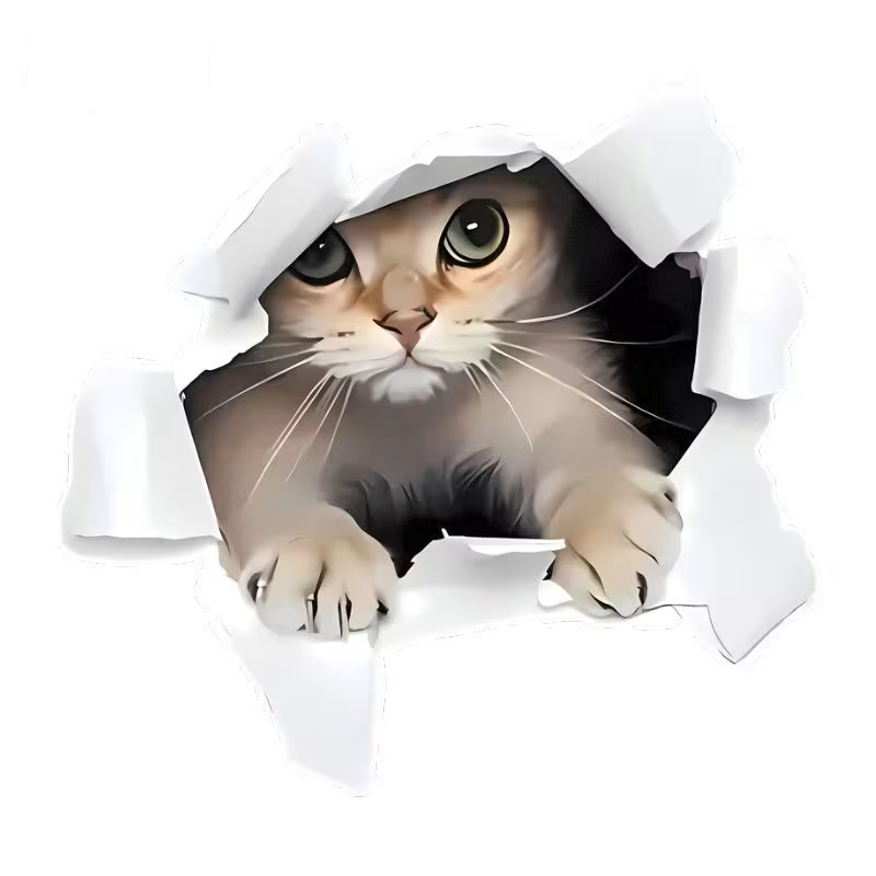 Cuscino con Immagine Gatto che esce dal cuscino
